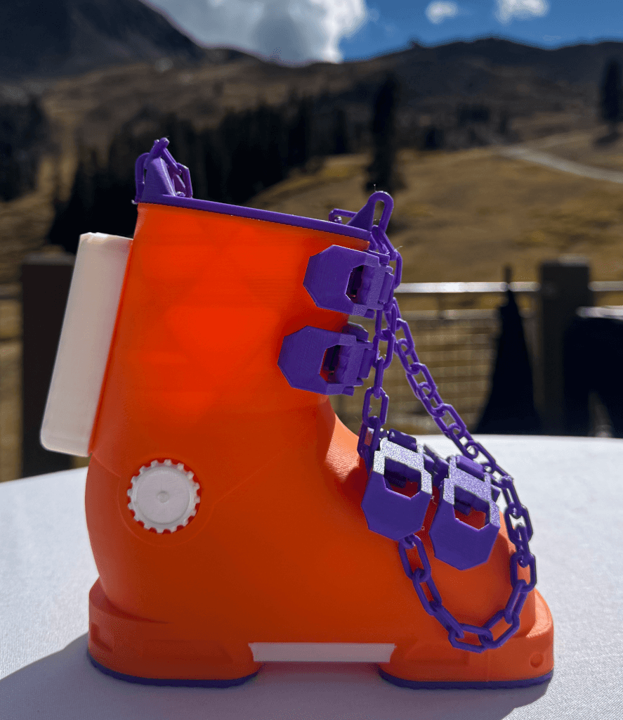 Custom ski boozie design